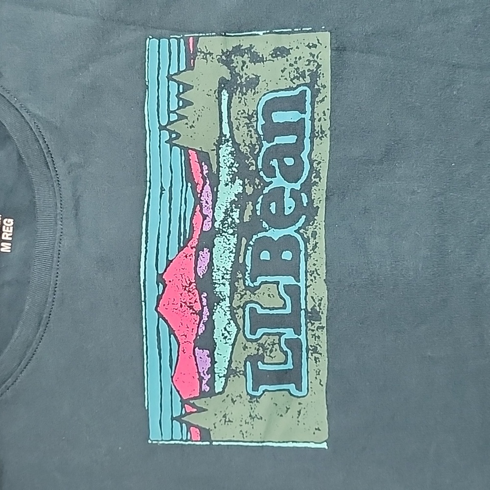 Vintage. L.L. Bean Teal Long Sleeve Shirt. Crew Neck Graphic Design. Size M - Picture 3 of 5